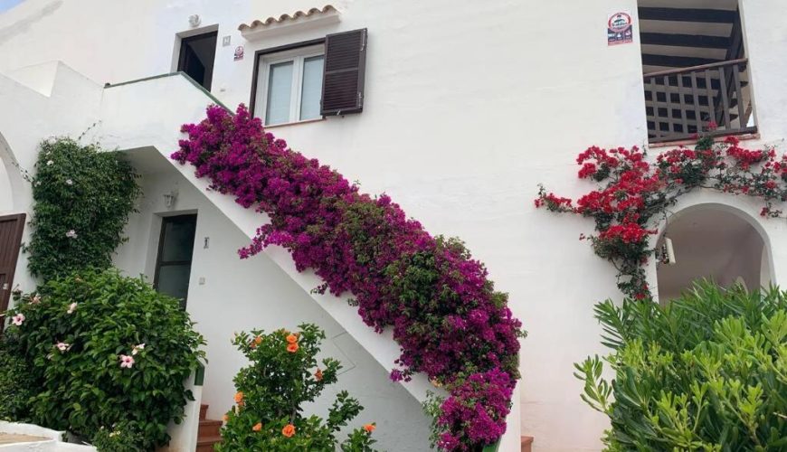 Nuovissimo appartamento con vista sul mare